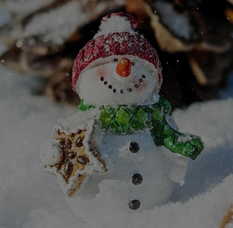 熱水袋，PVC熱水袋，暖手熱水袋，插手熱水袋，頸椎熱水袋，常州月豐塑料制品有限公司，月豐塑料